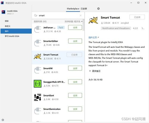使用IntelliJ IDEA社區版進行JavaWeb項目開發與維護指南